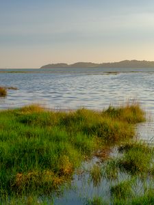 Preview wallpaper lake, shore, grass, water, nature