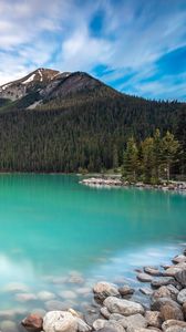 Preview wallpaper lake, shore, mountains, forest, landscape