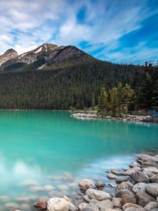 Preview wallpaper lake, shore, mountains, forest, landscape