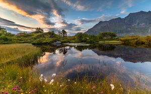 Preview wallpaper lake, shore, mountains, grass, landscape