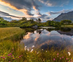 Preview wallpaper lake, shore, mountains, grass, landscape