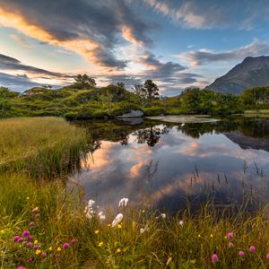 Preview wallpaper lake, shore, mountains, grass, landscape