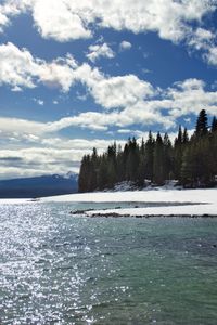 Preview wallpaper lake, shore, snow, forest, trees, nature