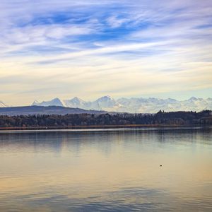 Preview wallpaper lake, shore, trees, forest, mountains, landscape