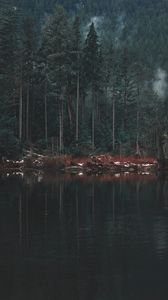 Preview wallpaper lake, shore, trees, reflection