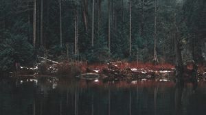Preview wallpaper lake, shore, trees, reflection