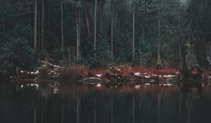 Preview wallpaper lake, shore, trees, reflection