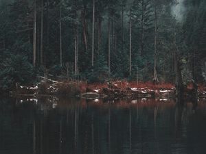 Preview wallpaper lake, shore, trees, reflection