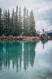 Preview wallpaper lake, shore, trees, stones, silhouette, mountains