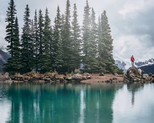 Preview wallpaper lake, shore, trees, stones, silhouette, mountains