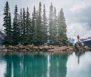 Preview wallpaper lake, shore, trees, stones, silhouette, mountains