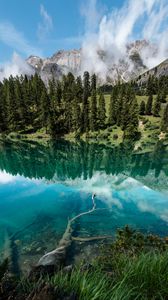 Preview wallpaper lake, shore, trees, mountains, reflection