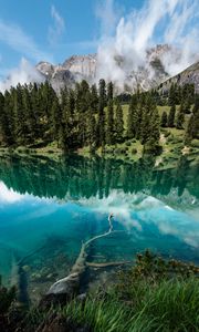 Preview wallpaper lake, shore, trees, mountains, reflection