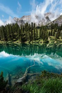 Preview wallpaper lake, shore, trees, mountains, reflection