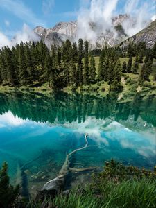 Preview wallpaper lake, shore, trees, mountains, reflection