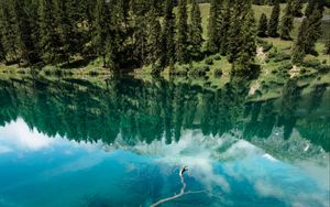 Preview wallpaper lake, shore, trees, mountains, reflection