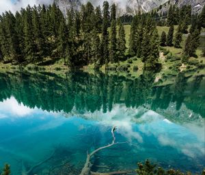 Preview wallpaper lake, shore, trees, mountains, reflection