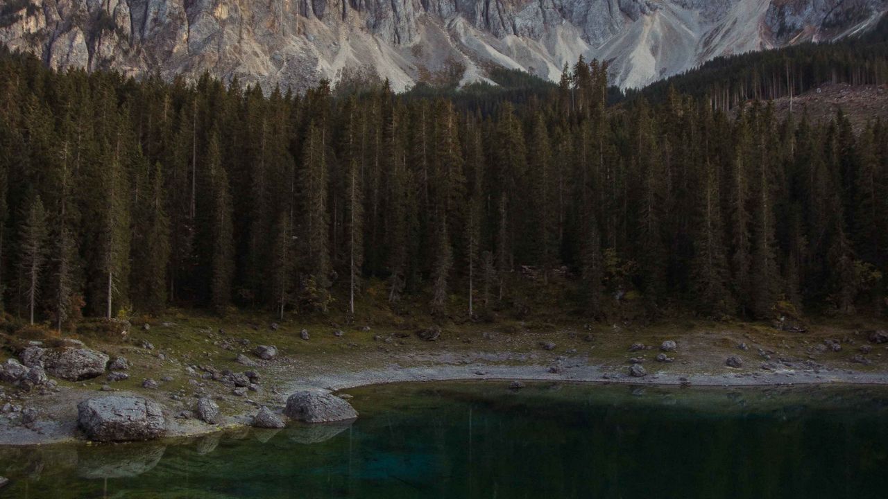 Wallpaper lake, shore, trees, mountains, landscape