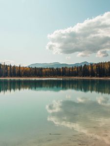 Preview wallpaper lake, shore, trees, clouds, reflection, landscape