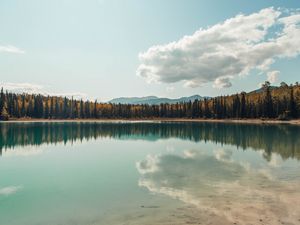 Preview wallpaper lake, shore, trees, clouds, reflection, landscape