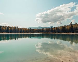 Preview wallpaper lake, shore, trees, clouds, reflection, landscape