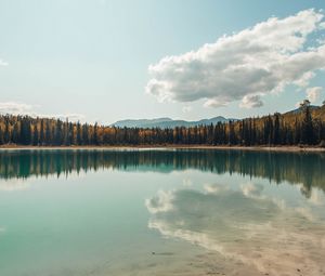 Preview wallpaper lake, shore, trees, clouds, reflection, landscape