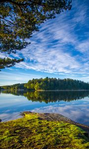 Preview wallpaper lake, shore, trees, landscape, water, reflection