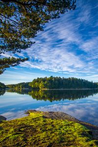 Preview wallpaper lake, shore, trees, landscape, water, reflection