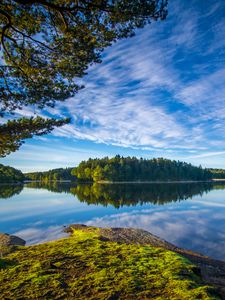Preview wallpaper lake, shore, trees, landscape, water, reflection