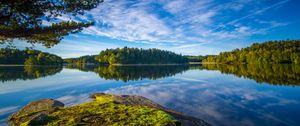 Preview wallpaper lake, shore, trees, landscape, water, reflection