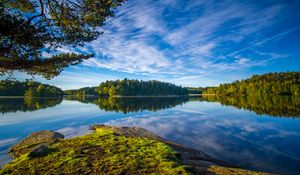 Preview wallpaper lake, shore, trees, landscape, water, reflection