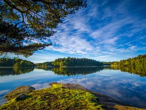 Preview wallpaper lake, shore, trees, landscape, water, reflection