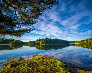 Preview wallpaper lake, shore, trees, landscape, water, reflection