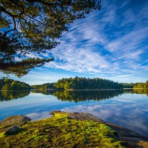 Preview wallpaper lake, shore, trees, landscape, water, reflection