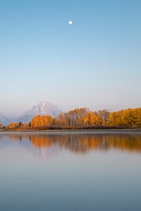 Preview wallpaper lake, shore, trees, mountain, moon, landscape