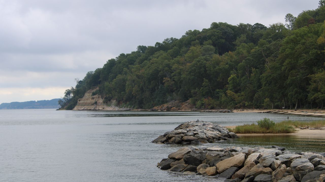 Wallpaper lake, shore, trees, stones, water