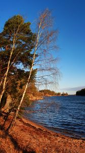 Preview wallpaper lake, shore, trees, waves, landscape