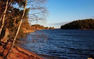 Preview wallpaper lake, shore, trees, waves, landscape