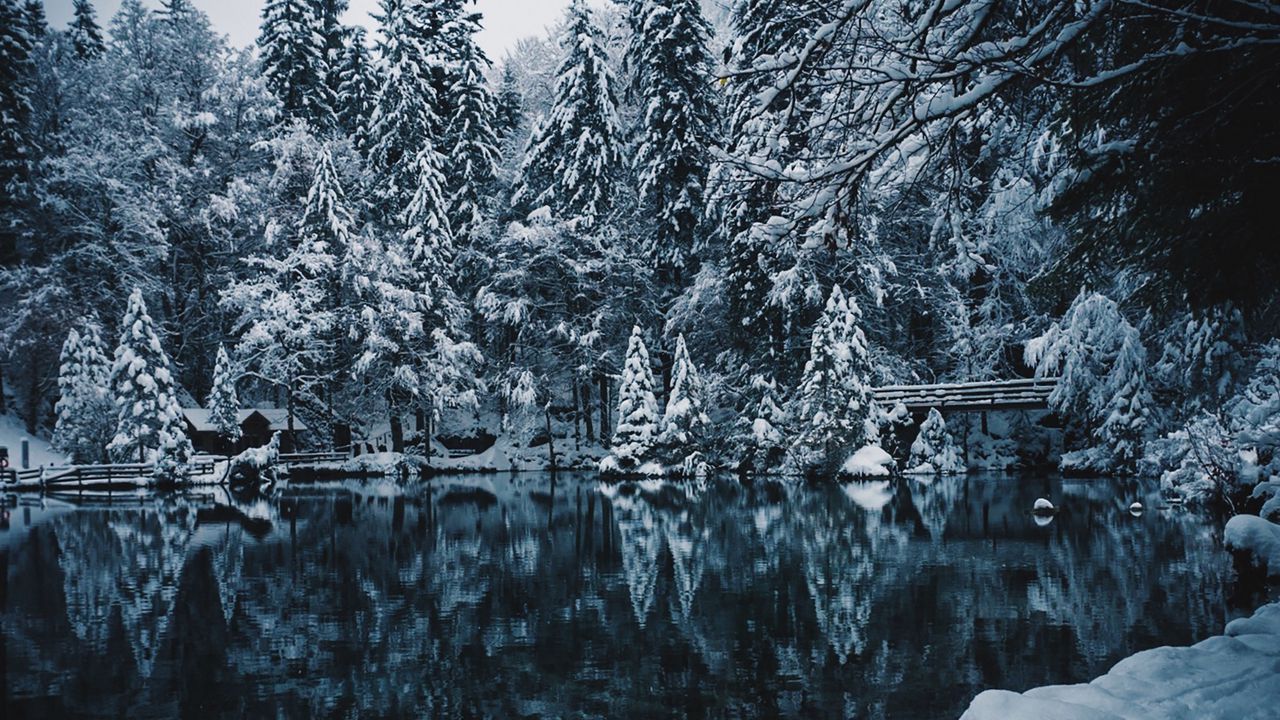 Wallpaper lake, snow, branches, winter, snowy