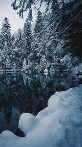 Preview wallpaper lake, snow, branches, winter, snowy