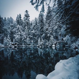 Preview wallpaper lake, snow, branches, winter, snowy