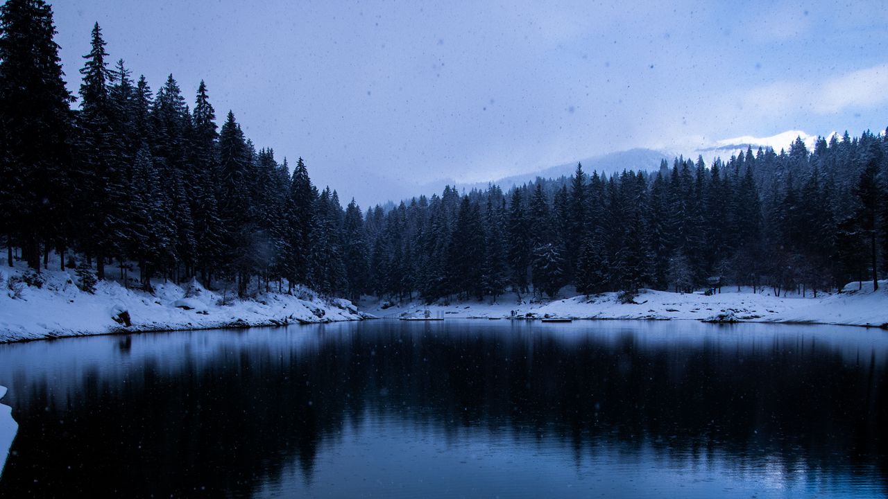 Wallpaper lake, snow, shore, trees, winter