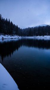 Preview wallpaper lake, snow, shore, trees, winter