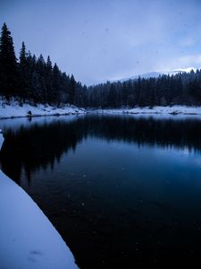 Preview wallpaper lake, snow, shore, trees, winter
