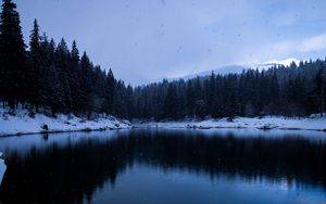 Preview wallpaper lake, snow, shore, trees, winter