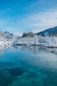 Preview wallpaper lake, snow, winter, trees, shore