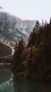 Preview wallpaper lake, spruce, mountains, trees, forest, fog