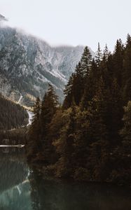 Preview wallpaper lake, spruce, mountains, trees, forest, fog