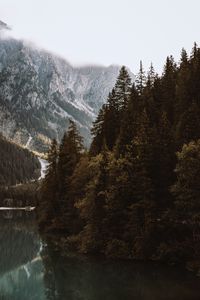 Preview wallpaper lake, spruce, mountains, trees, forest, fog
