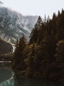 Preview wallpaper lake, spruce, mountains, trees, forest, fog